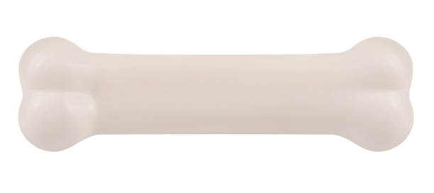 istock Dog bone white pet toy perfect long isolated on white background 1281211743