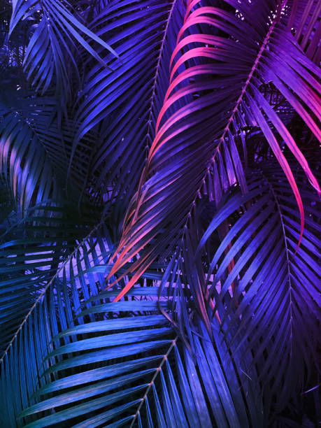 tropical summer vertical background, exotic leaf with neon party glow tropical summer vertical background, exotic leaf with neon party glow, colorful blue backdrop party photo backdrop stock pictures, royalty-free photos & images