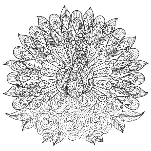 ilustrações de stock, clip art, desenhos animados e ícones de zen doodle peacock and rose tangles adult coloring page, illustration zentangle style. - peacock feather outline black and white