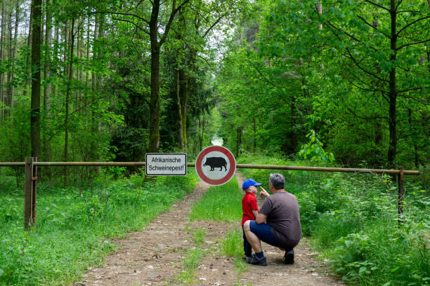 Father and son are standing in the forest on a closed path. On a sign is  Afrikanische Schweinepest, which means African swine fever.