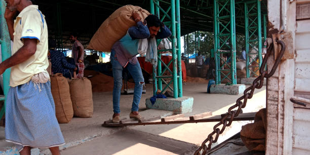 DISTRICT KATNI, INDIA - SEPTEMBER 18, 2019: Indian village labour transporting manual goods at Raw food grain agriculture market.