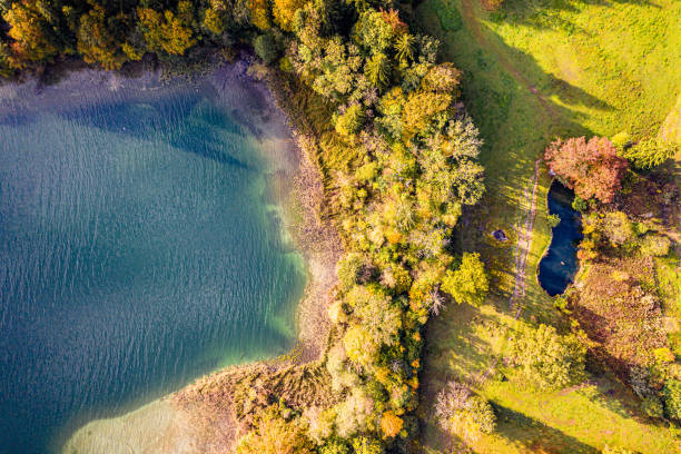 красочный осенний лес на побережье уотер-бей. озеро тегернзее сверху drone shot. бавария - tegernsee lake tegernsee lake mountain стоковые фото и изображения