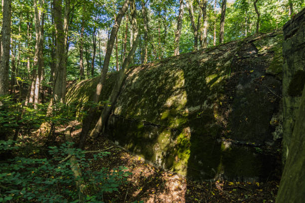 istock old underbridge from the reichsautobahn in the forest 1281221073