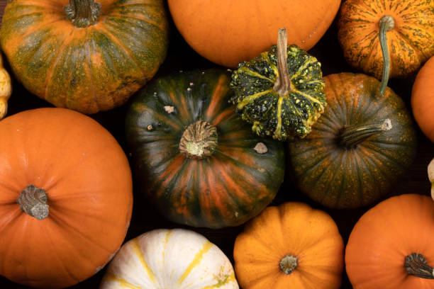 istock Assortiment of pumpkins background 1281226990