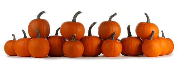 istock Many orange pumpkins isolated 1281227025