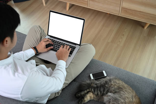 istock Young attractive man sitting on sofa at home while working on laptop online. 1281227484