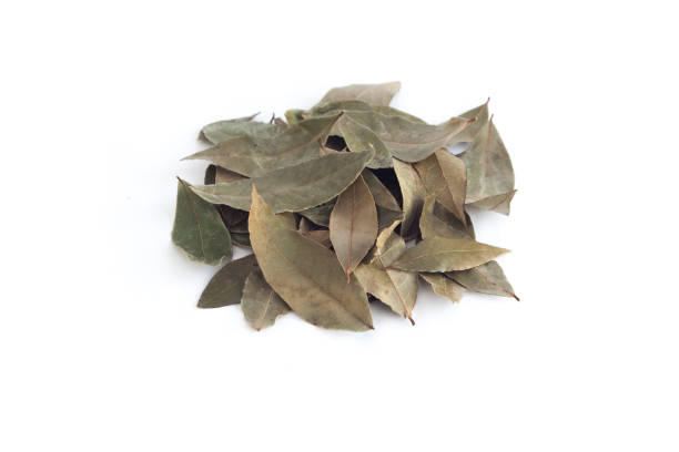 istock Spice and Herb, Dried Bay Leaves, Laurel 1281229567