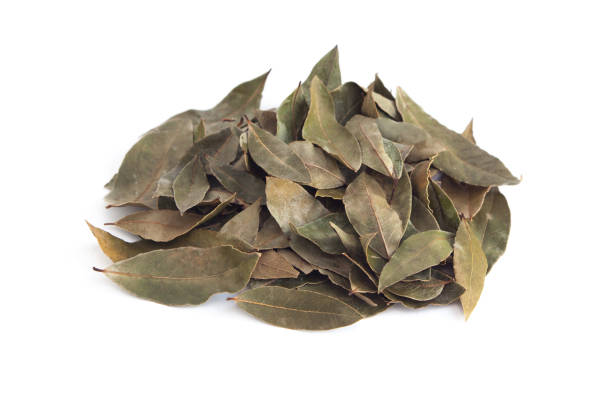 istock Spice and Herb, Dried Bay Leaves, Laurel 1281229568
