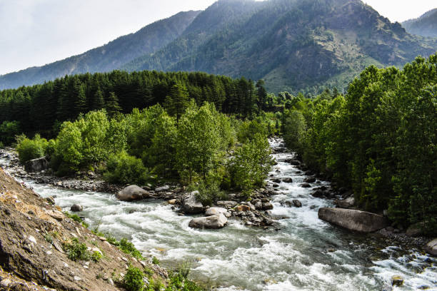 istock River flowing from the moutains 1281230684