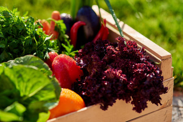 istock Fresh organic grocery in wooden box 1281232523