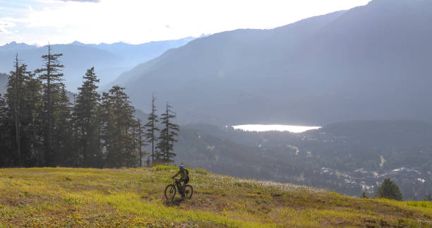 istock Female mountain e-biker rides up through alpine meadow in the morning 1281233434