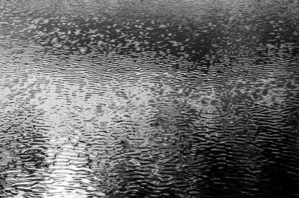 istock Sea water waves abstract black and white background for design 1281233565