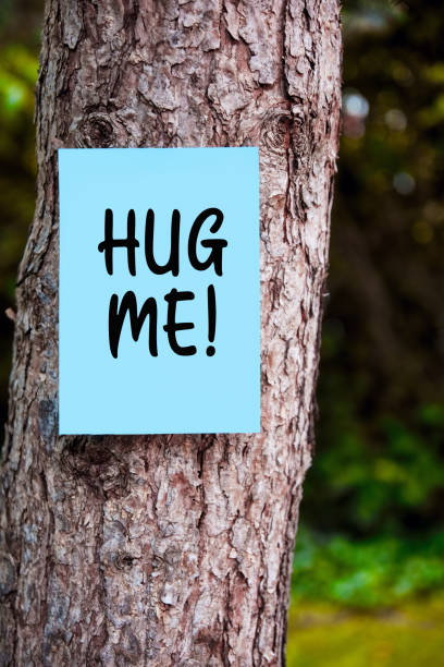 istock Hug me message handwritten on a blue paper mounted on a tree in the forest. Commune with mother nature. 1281234365