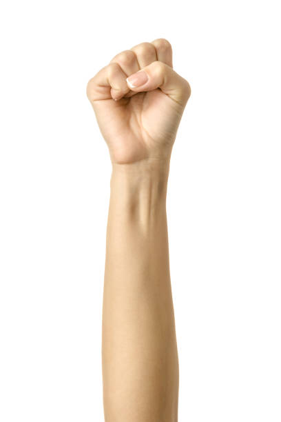 mano donna con manicure francese gesticolante isolata su sfondo bianco. parte della serie - pugno foto e immagini stock