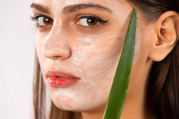 Portrait of cute young girl with a facial mask on her face holding pieces of fresh aloe vera. Skin care and treatment, spa, natural beauty and cosmetology concept Portrait of cute young girl with a facial mask on her face holding pieces of fresh aloe vera. Skin care and treatment, spa, natural beauty and cosmetology concept. High quality photo aloe plant alternative medicine body care stock pictures, royalty-free photos & images