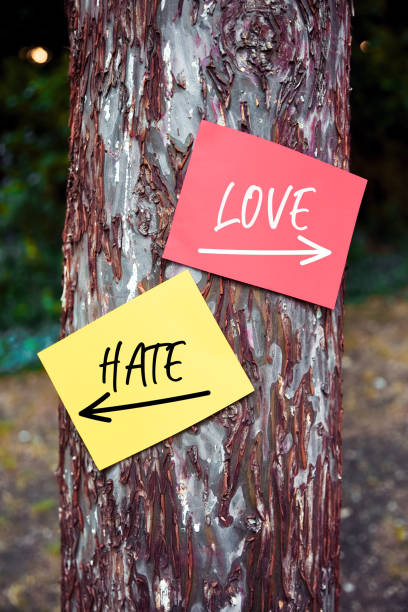 istock Love versus hate words written on papers on a tree with arrow signs. Dilemma or choice between to love or to hate 1281235983