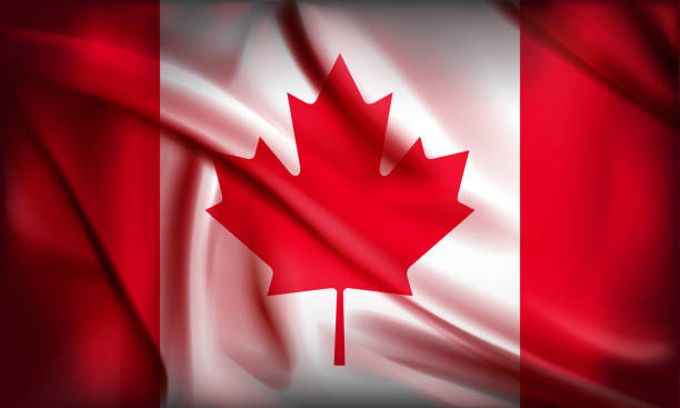 ilustraciones, imágenes clip art, dibujos animados e iconos de stock de ondulación de la ilustración vectorial texturizada de tela de la bandera de canadá - flag canadian flag patriotism national flag