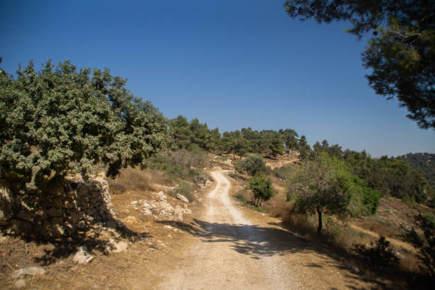 istock Mountain of Winds, Israel 1281238999