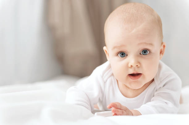 istock Portrait of a crawling baby 1281240456