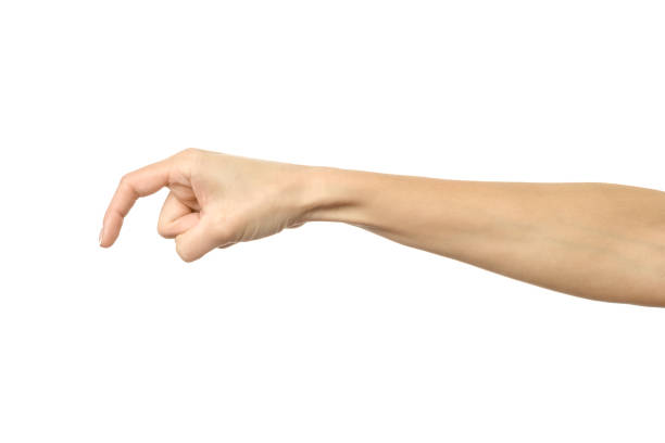 istock Woman hand with french manicure gesturing isolated on white background 1281240607