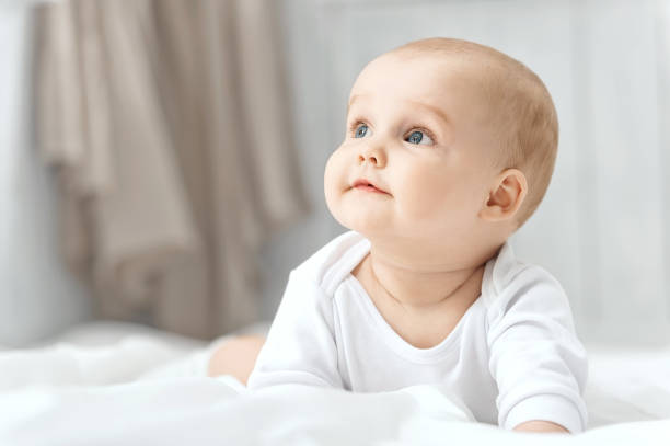 portret van een kruipende baby - alleen babys stockfoto's en -beelden