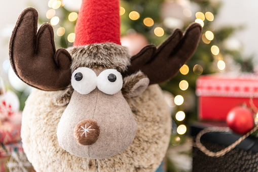 Reindeer funny stands in front of Christmas tree with gifts