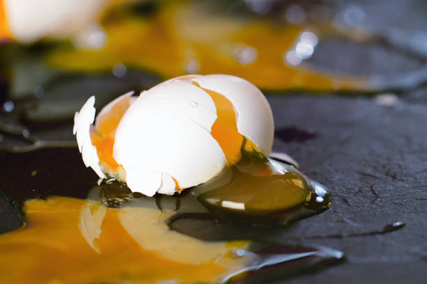 oeufs cassés sur le plancher de cuisine - eggs animal egg cracked egg yolk photos et images de collection