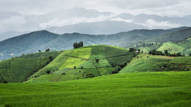 istock Holiday Photo 1281243847