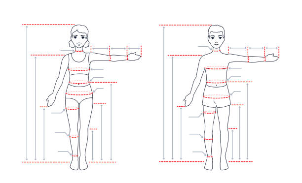 子供のボディサイズチャート。服を仕立てるための測定。子供の解剖学。子供の尺度。女の子、片腕を広げて全長で立っている男の子。 - mannequin dressmakers model male torso点のイラスト素材／クリップアート素材／マンガ素材／アイコン素材