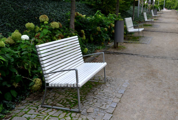istock benches with metallic shiny stainless steel construction, armrests, white wood paneling in public parks. under a bench of granite cobblestone tiles. park lawn with white flowering shrubs. harmony of colors, harmony 1281245019