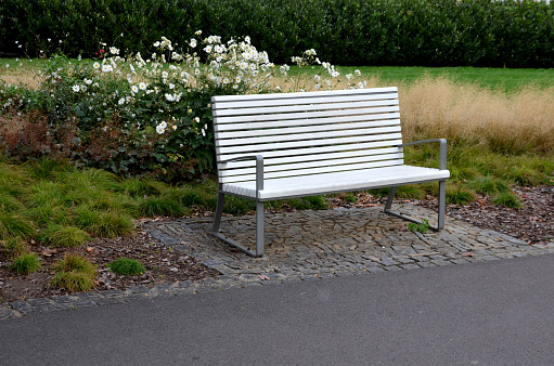 caespitosa, descampsia, benches, bench, promenade, sidewalk, hydrangea, white, metallic, shiny, stainless, steel, construction, armrests, wood, paneling, public, park, garden, under, ground, granite, cobblestone, tiles, cubes, lawn, flowering, shrubs, bush, harmony, colors, colour, anemone, hupehensis, flowerbed, gravel, threshing, path, asphalt, gray, grass, dry, yellow, beige, seat, trash, can, row, alley, colonnade, arborescens