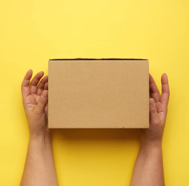 istock two female hands hold closed paper box 1281245136