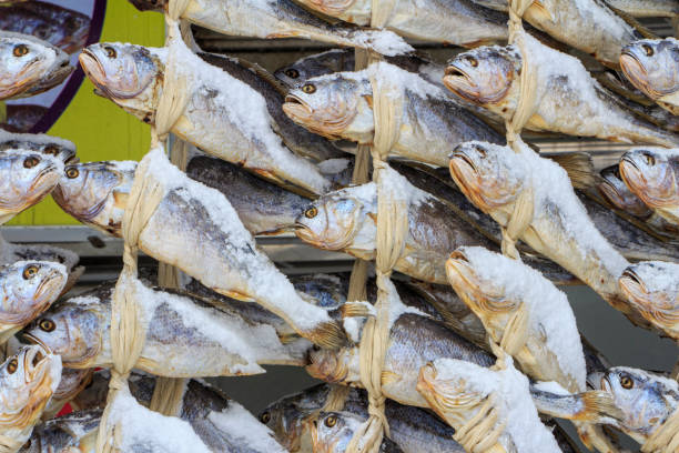 istock dried yellow corvina (fish enjoyed by Koreans) 1281246545