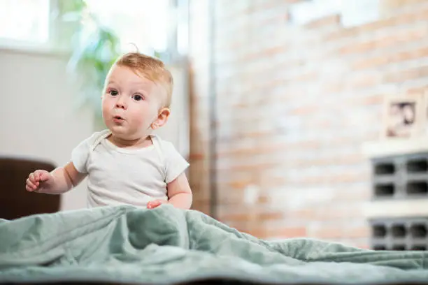 Cute baby boy sitting on blanket at home