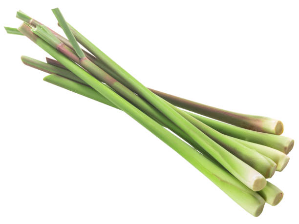 istock Pile of cut Lemongrass stems (Cymbopogon citratus)  isolated 1281248978
