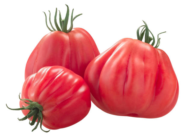 istock Tlacolula Ribbed heirloom ribbed tomatoes (Solanum lycopersicum fruits)  isolated 1281249664