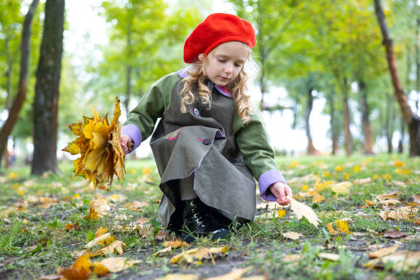 Little girl collects yellow maple leaves in the autumn park. The girl makes a beautiful bouquet of autumn leaves. The child is wearing a red beret and a coat.