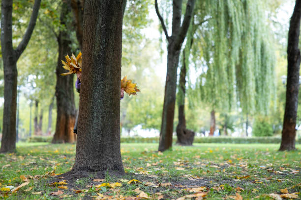 istock A little girl is hiding behind a tree. 1281254279