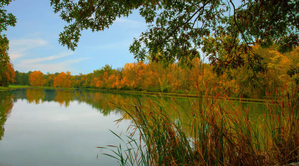 istock Fall Colors with a small pond-Howard County Indiana 1281254767