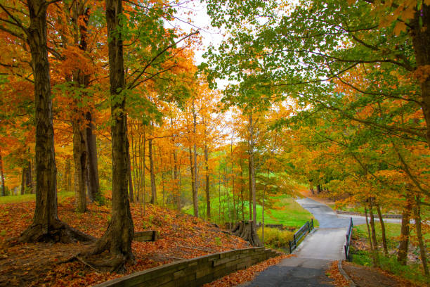 Autumn mood