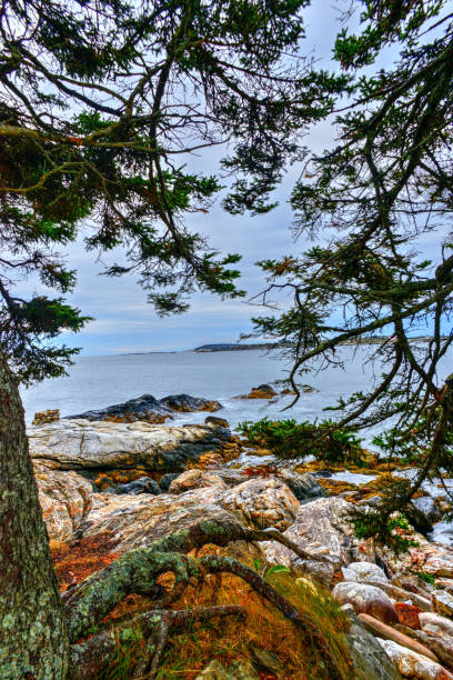 istock Rocky Maine Coast-Pemaquid Point Maine 1281255519