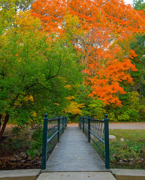 istock Walking bridge and fall colors-Howard County Indiana 1281255836