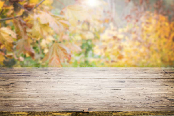 istock wooden table and blurred autumn background. Autumn, nature concept. copy space. 1281257114