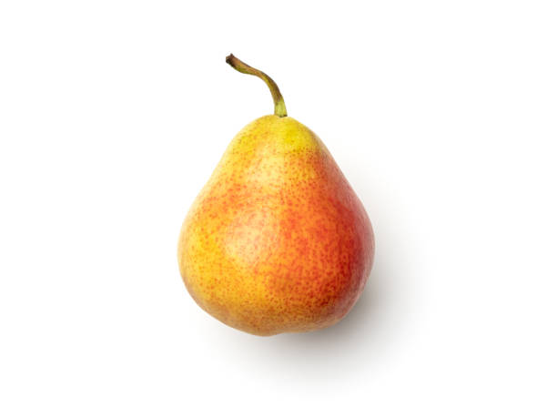 白で孤立した梨 - russet pears ストックフォトと画像