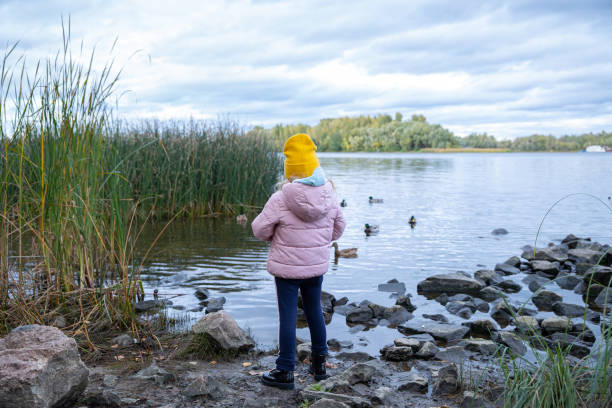 istock Little girl feeds wild ducks. 1281258634