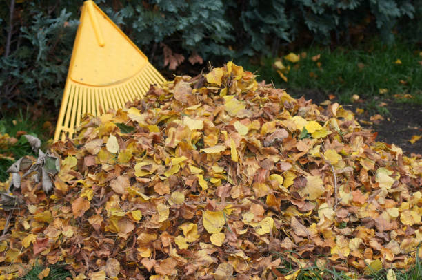 istock Autumn leaves swept up in a heap 1281259755