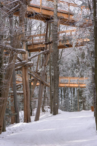 istock Forest mountain trail under the wooden paths of observation tower 1281260063