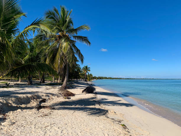istock Paradise Caribbean beach landscape 1281260207