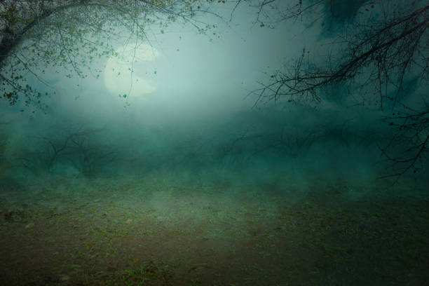 istock Haunted forest with fog and moonlight background 1281265194