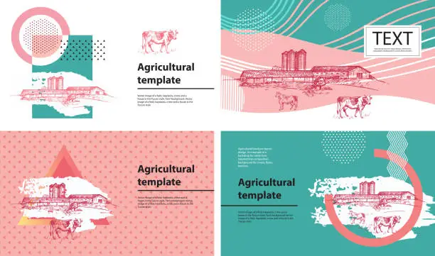 Vector illustration of Cows, barn and grain elevator. Set of agricultural banners.